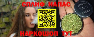 индика Тара