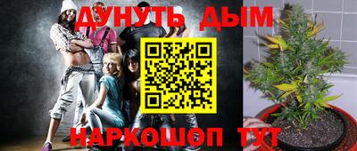 индика Тара