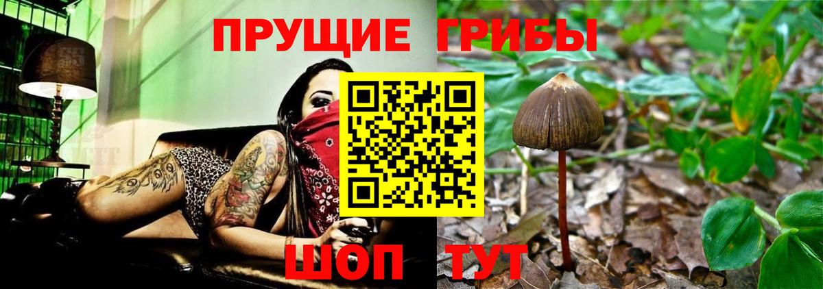 хочу   Галлюциногенные грибы Magic Shrooms  Вход с VPN  Павлово 