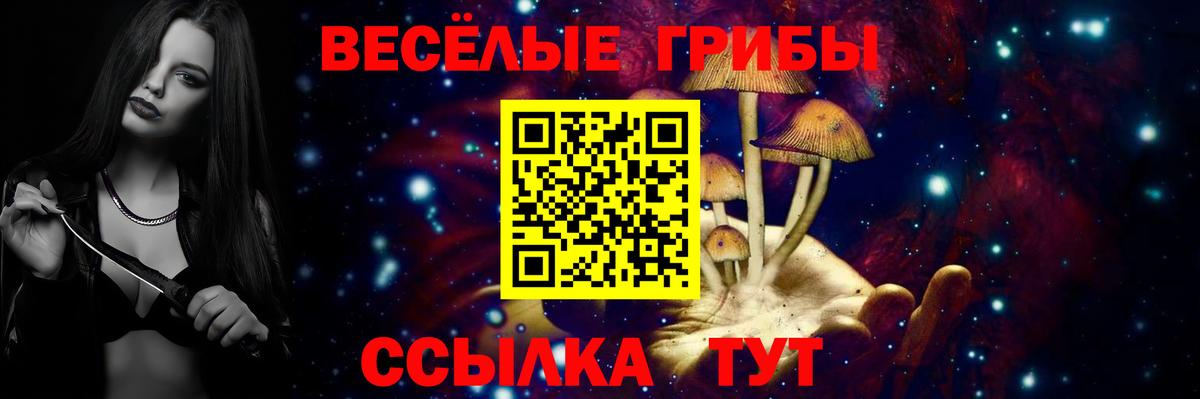 Псилоцибиновые грибы Cubensis Павлово