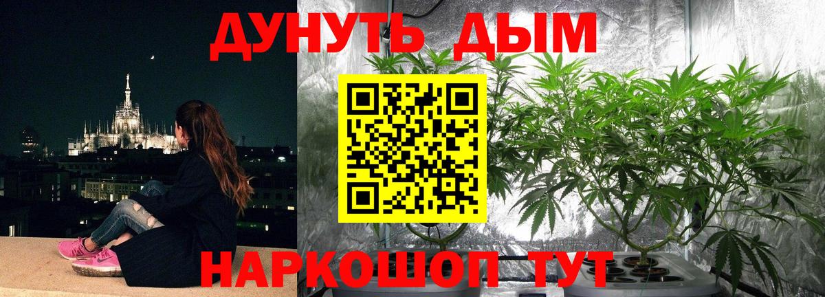 Каннабис планчик  МАРИХУАНА Ganja  Вход с VPN  Канабис LSD WEED  Бошки марихуана ГИДРОПОН  Павлово 